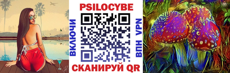 Галлюциногенные грибы Psilocybe  площадка формула  Кинешма  купить наркоту 